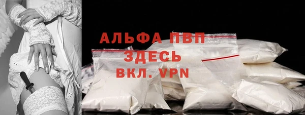 гашик Алексин