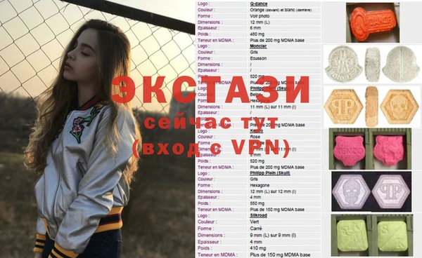 гашик Алексин