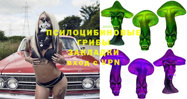 spice Алзамай