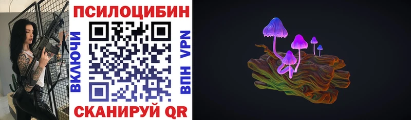 где найти наркотики  Нефтекумск  Галлюциногенные грибы Cubensis 